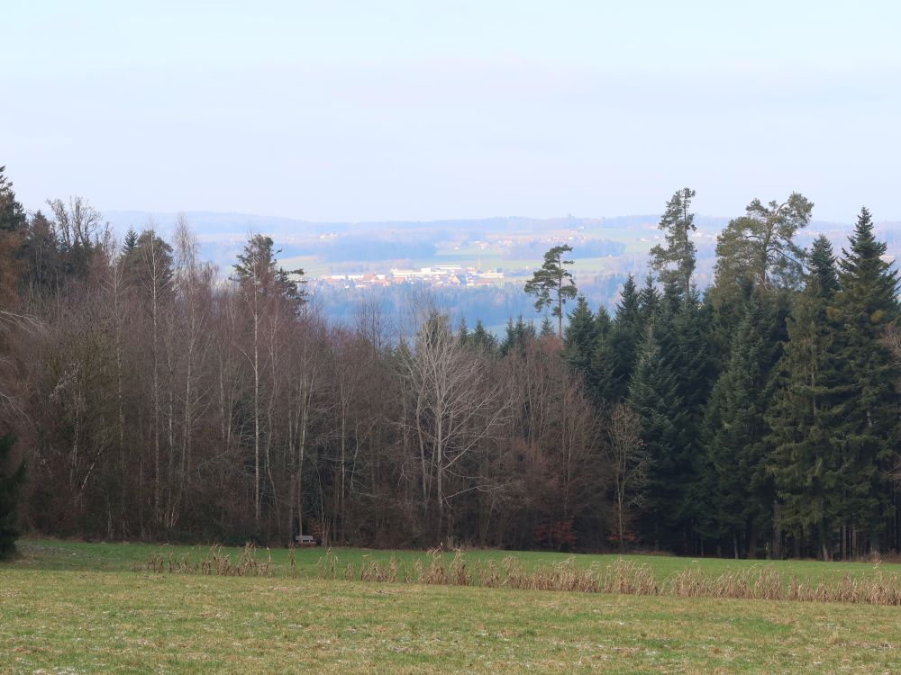 Blick Richtung Engwilen