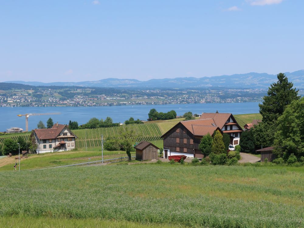 Bauernhöfe überm Zürichsee