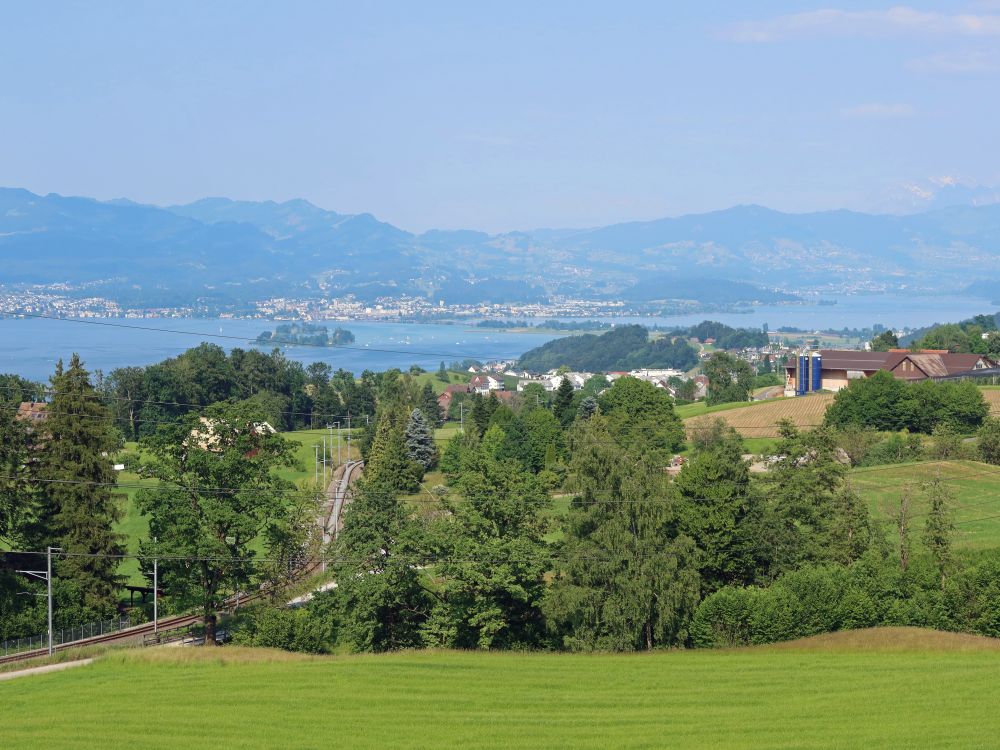 Zürichsee mit Ufenau und Seedamm