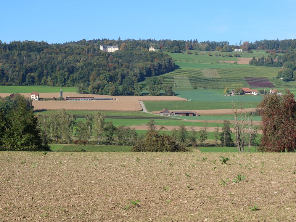 Blick Richtung Schloss Steinegg