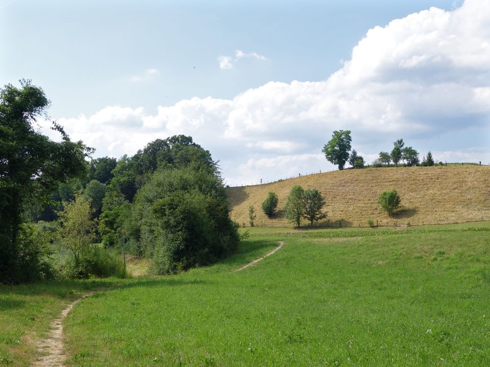 Landschaft beim Werdhof