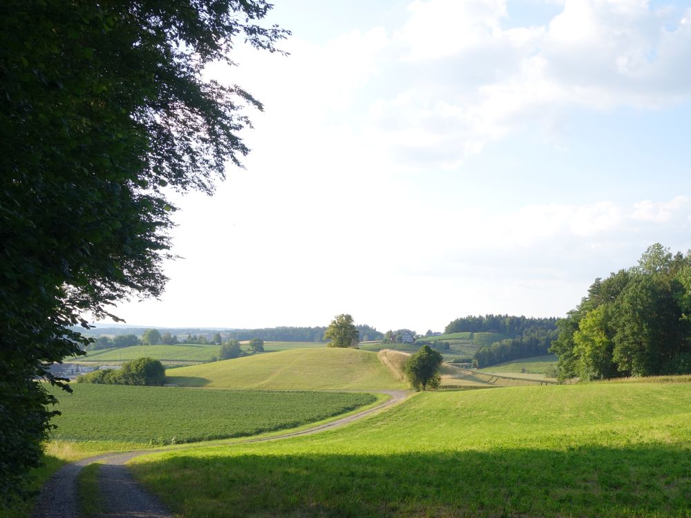 Landschaft bei Ossingen