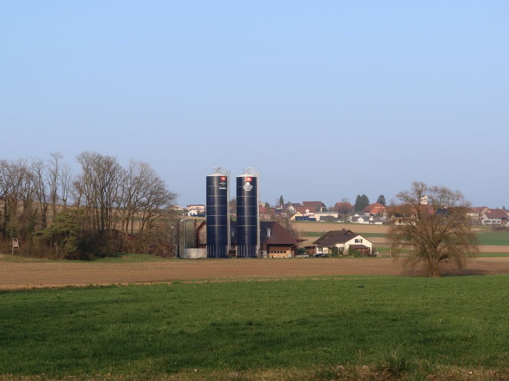 Bauernhof Goldbuck und Truttikon