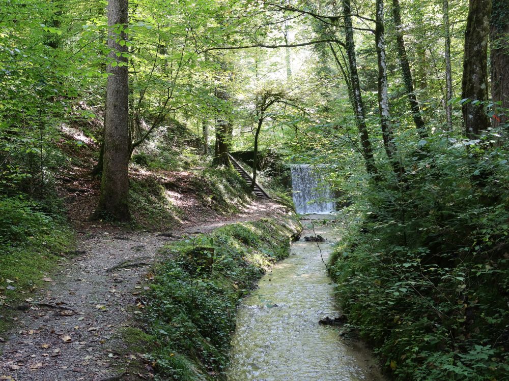 Treppe und Wasserfall am Hutzikerbach