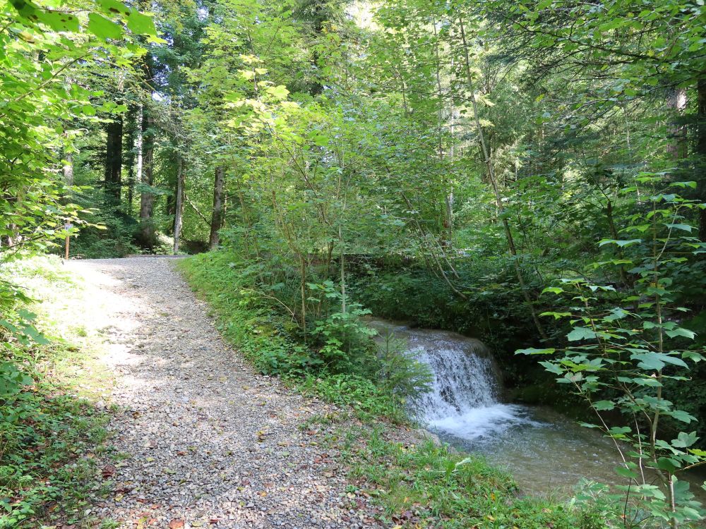 Pfad und Wasserfall am Hutzikerbach