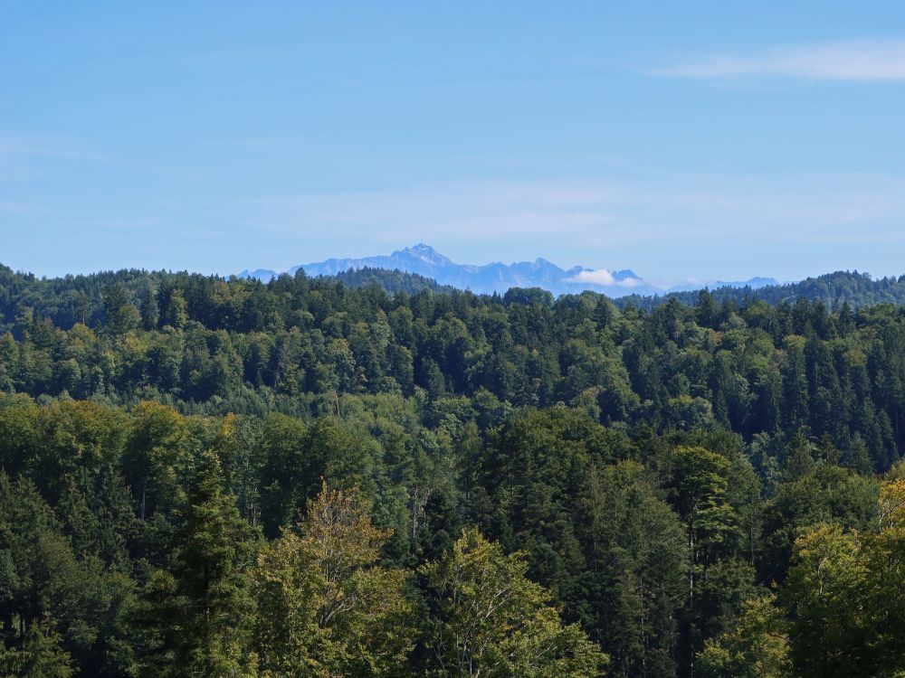 Blick zum Säntis