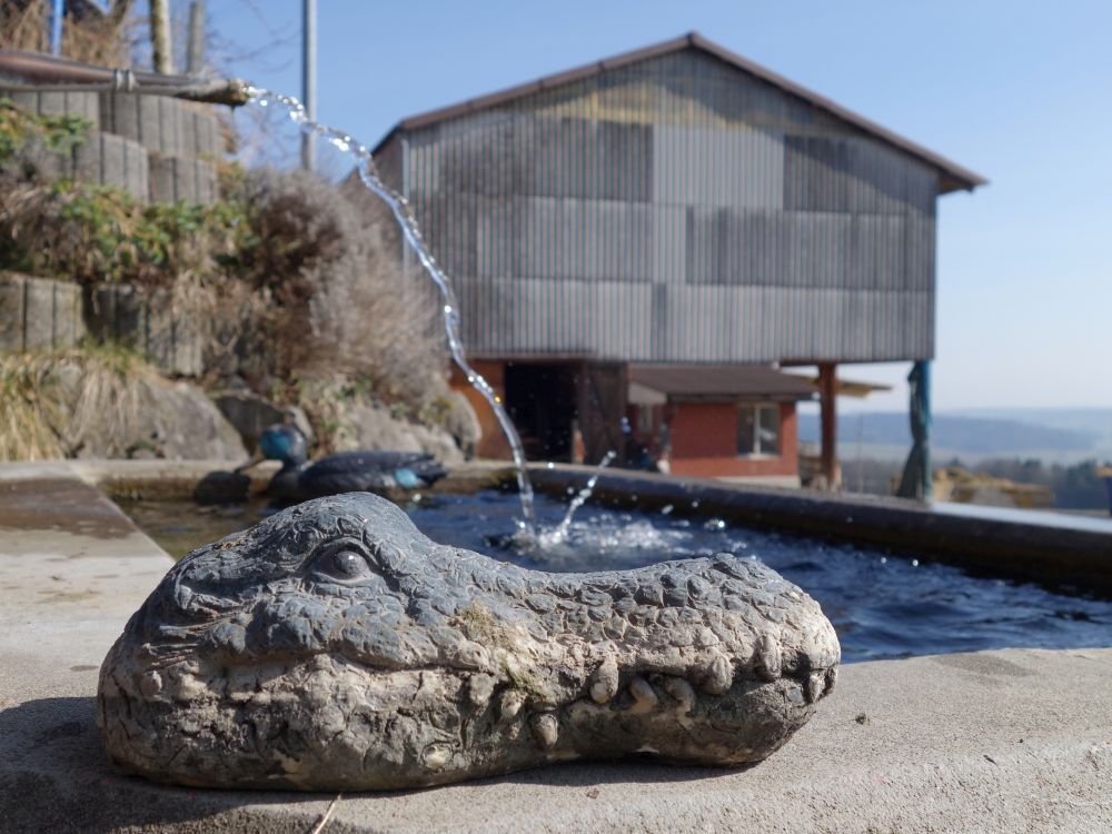 Krokodil am Brunnen