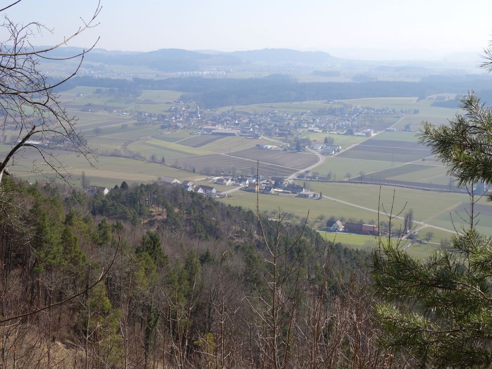 Blick vom Immenberg