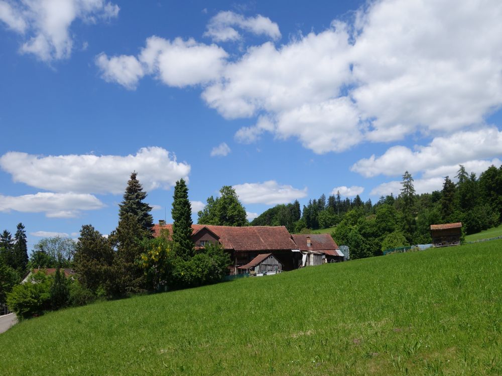 Bauernhof bei Wallikon