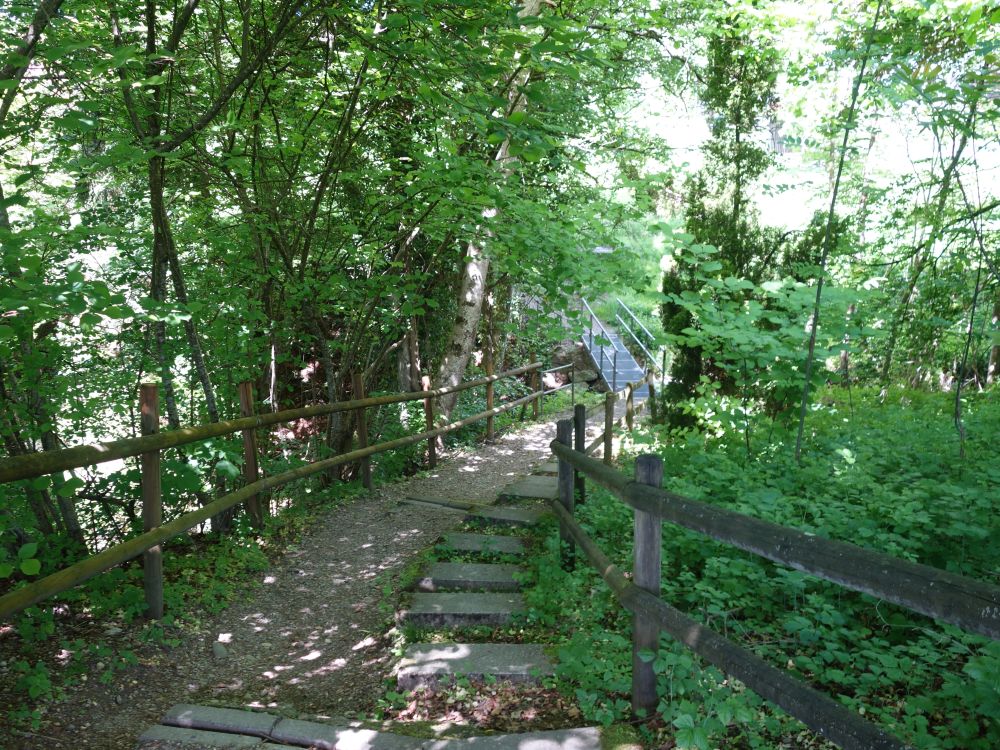 Steg am Tobelweg