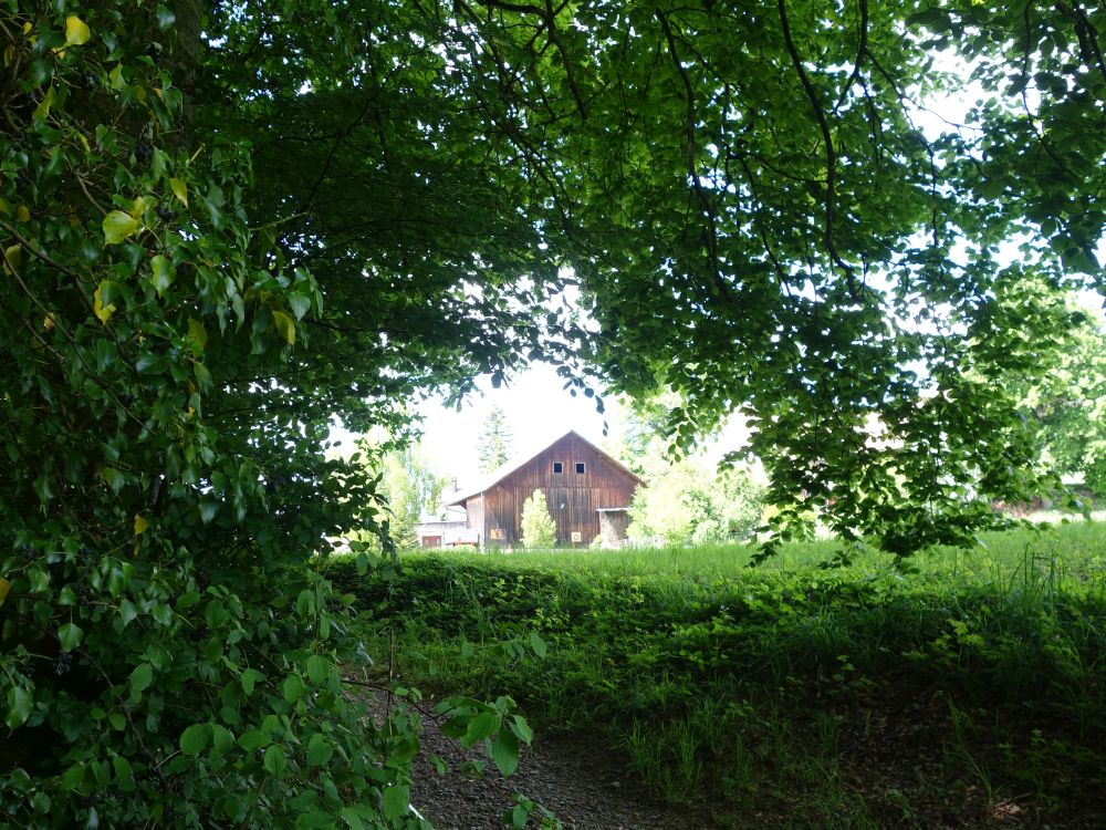 Scheune am Waldrand