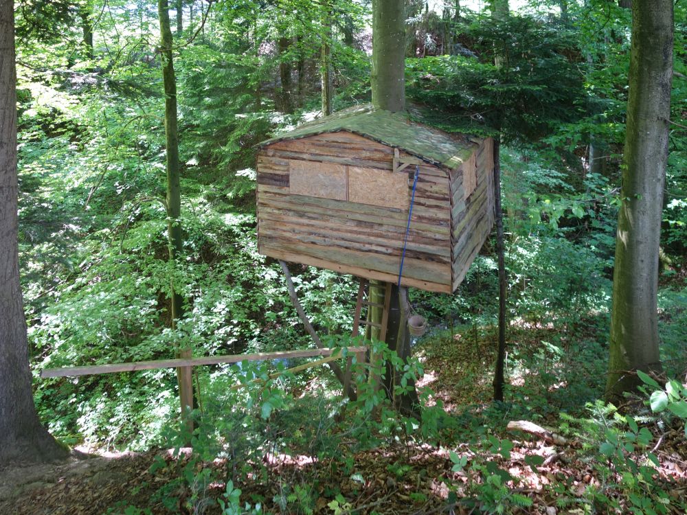 Baumhaus im Wallikertobel