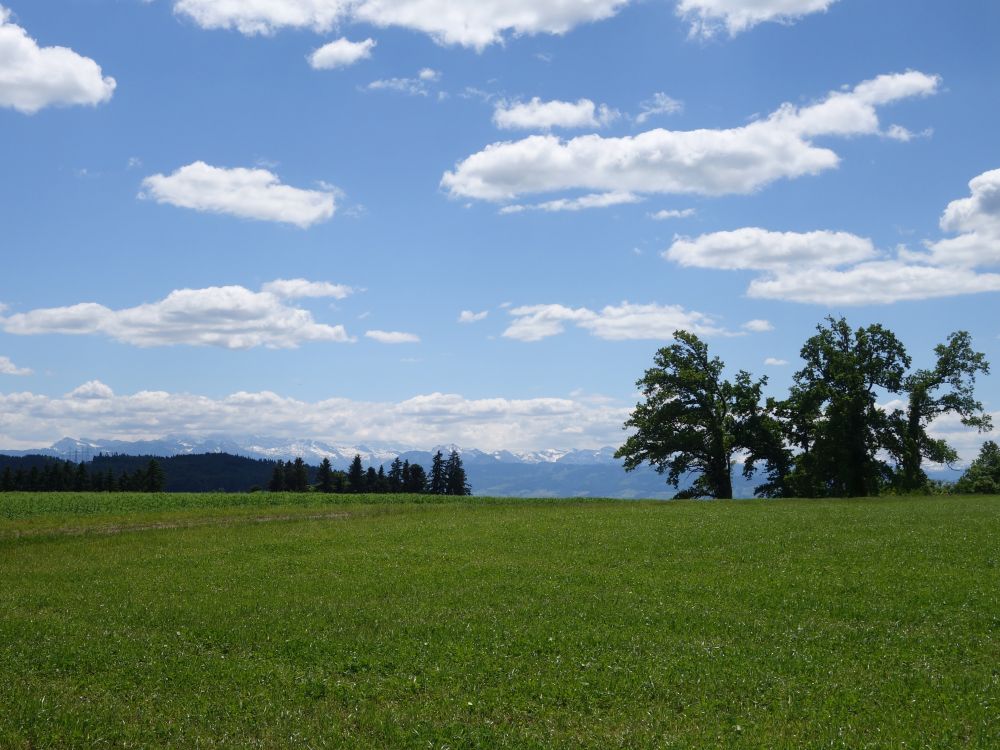 Alpensicht