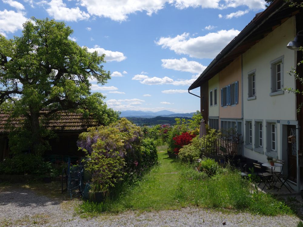 Rigiblick am Sulzberg