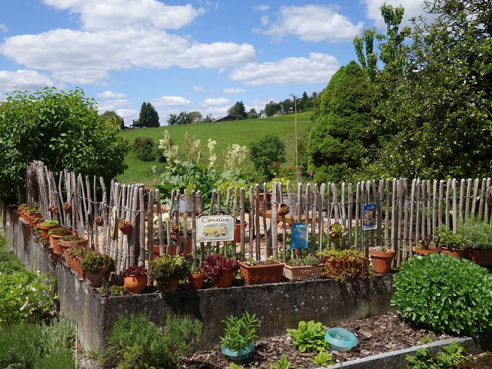 Gartenzaun