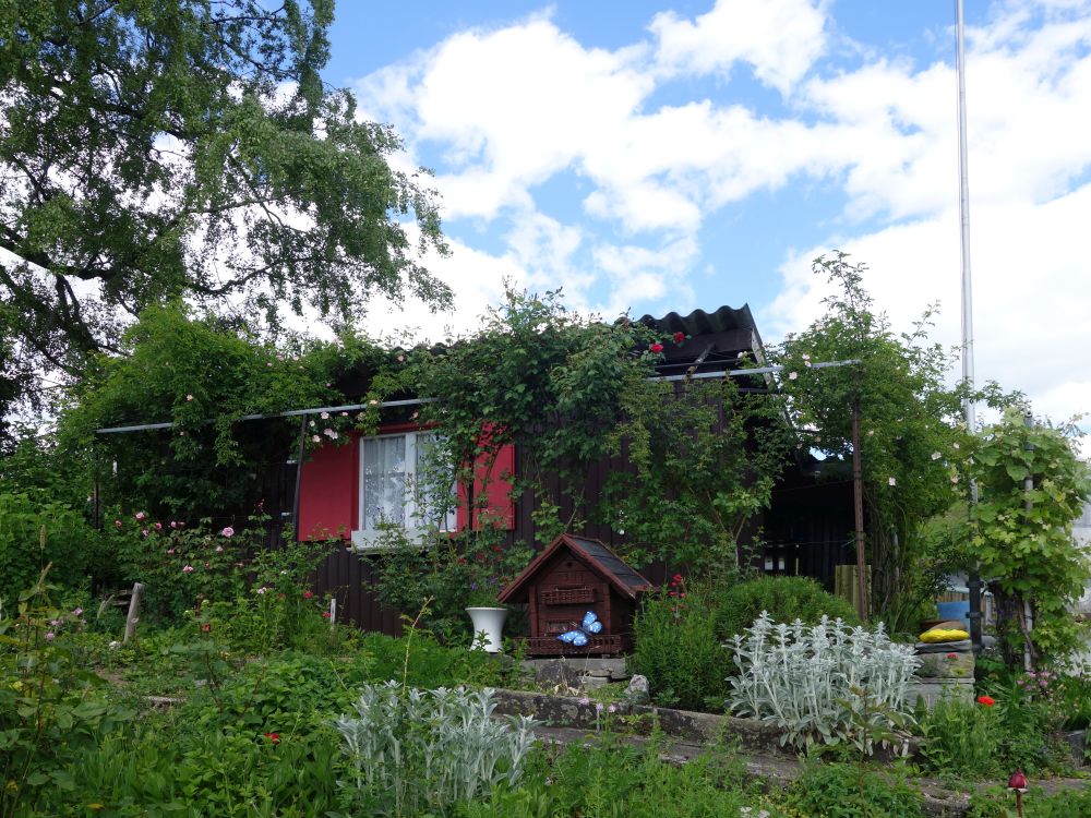 Gartenlaube