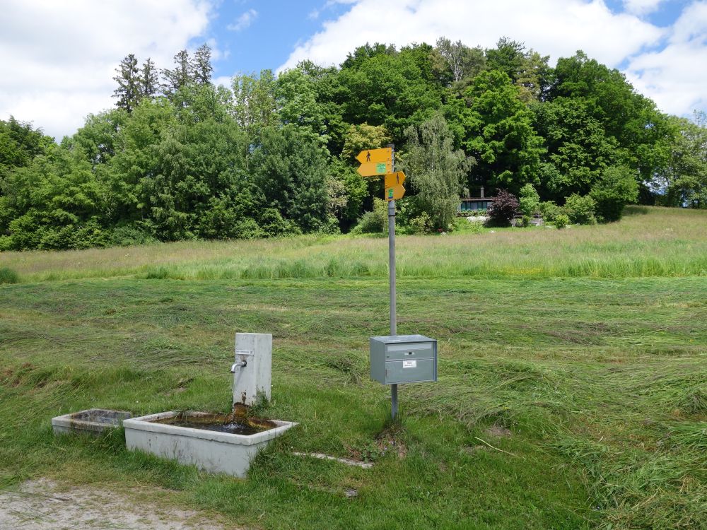 Wanderwegweiser mit Briefkasten