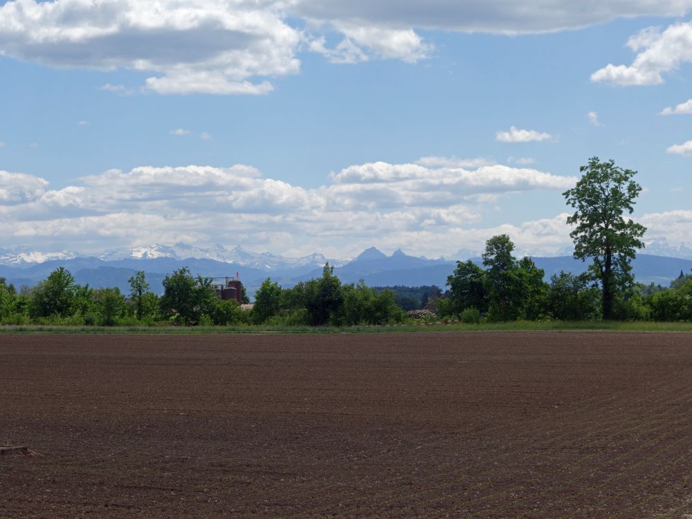 Alpenblick mit Mythen