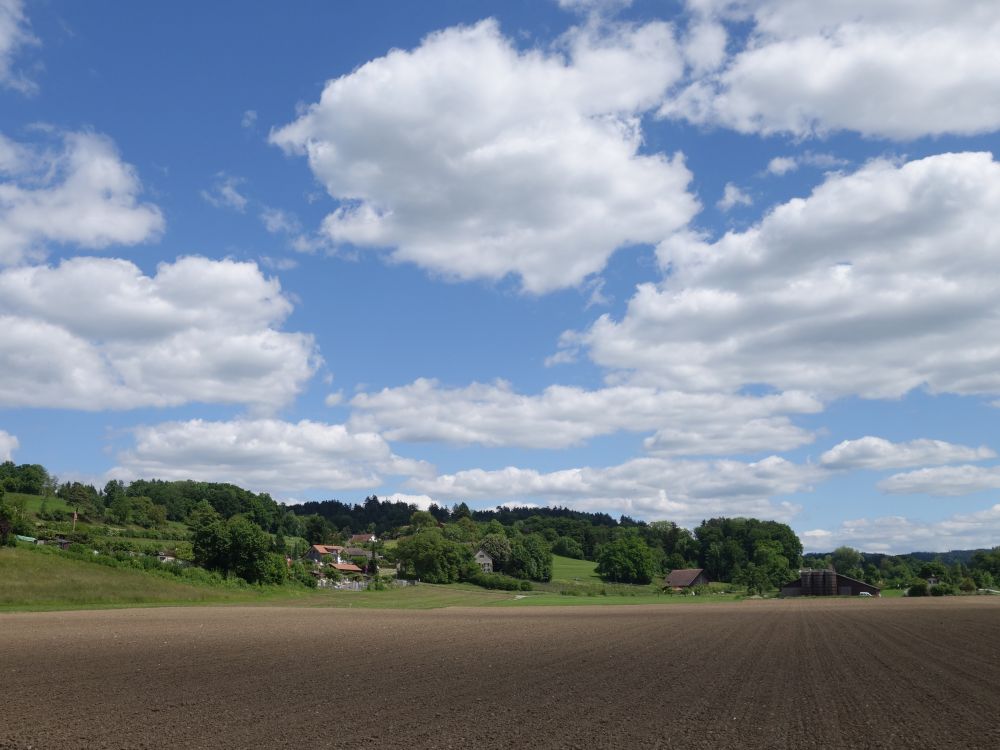 Blick Richtung Sulzberg