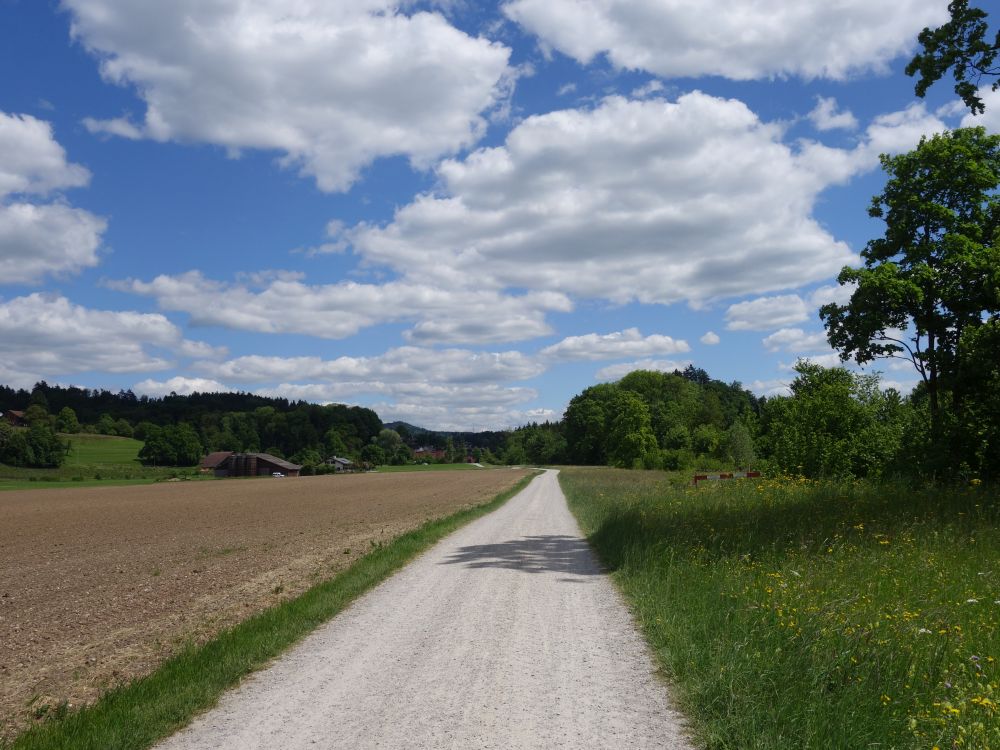 Weg am Auenfeld