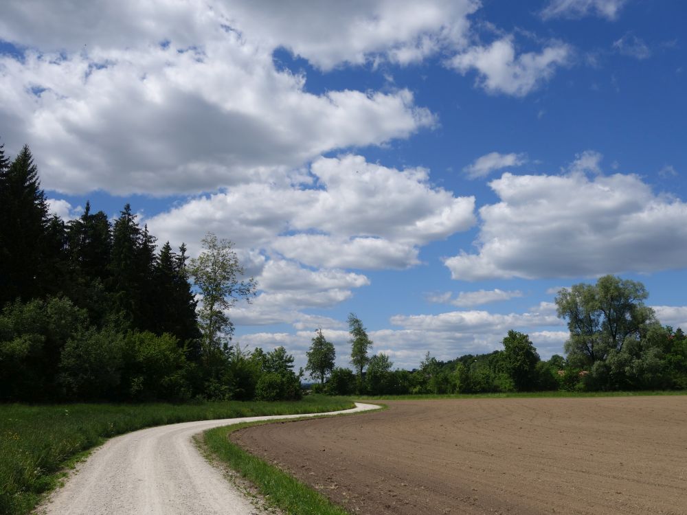 Grosswiesweg