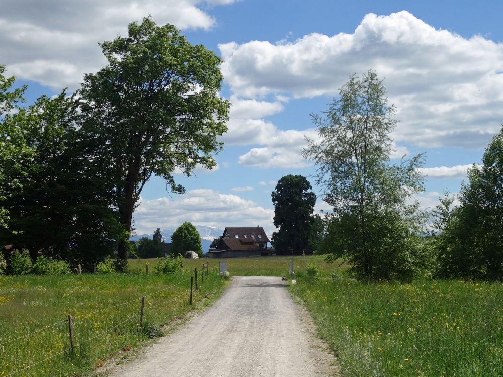 Grosswiesweg
