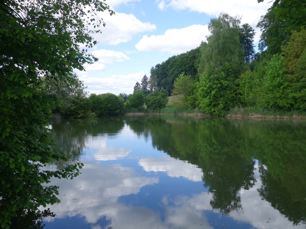 Krebsweiher