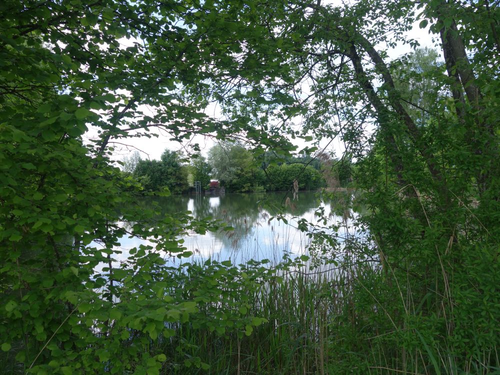 Krebsweiher