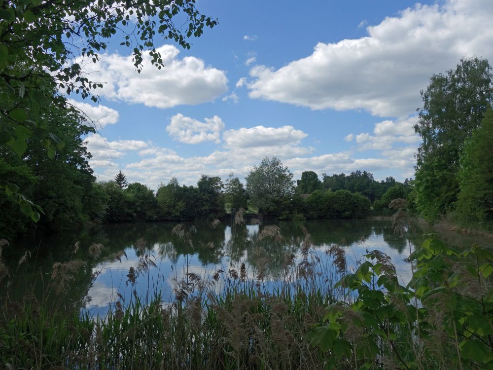 Krebsweiher
