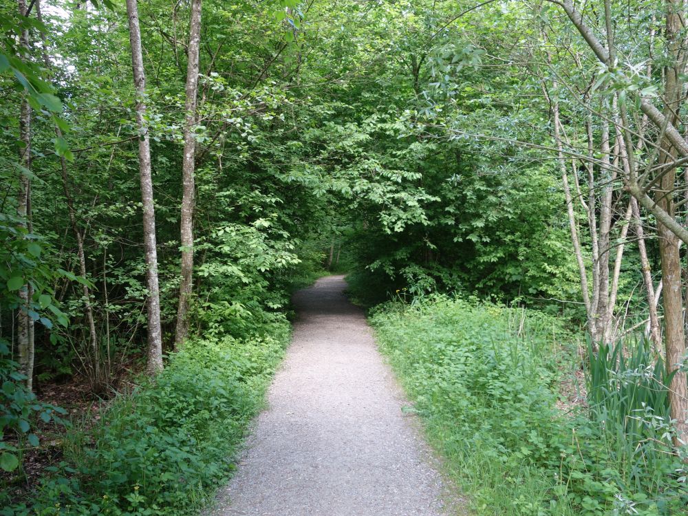 Weidstrasse