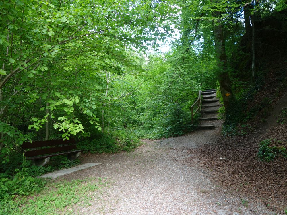Sitzbenk und Treppe