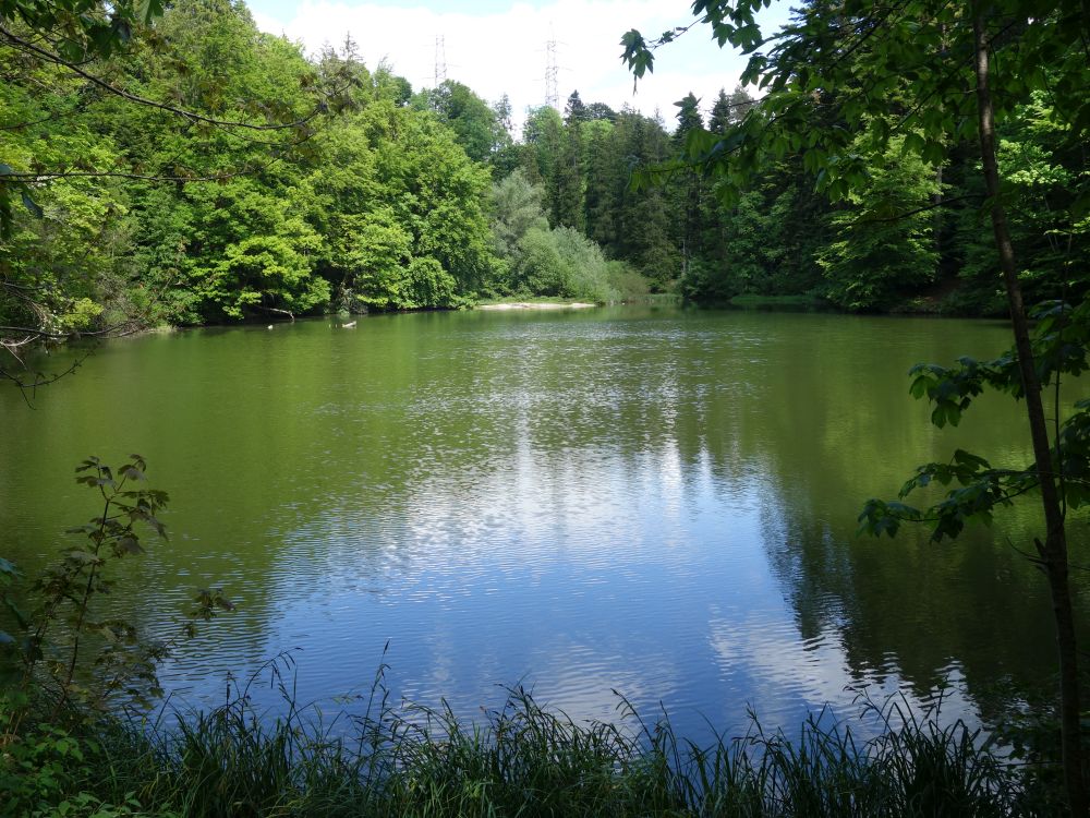 Tobelweiher