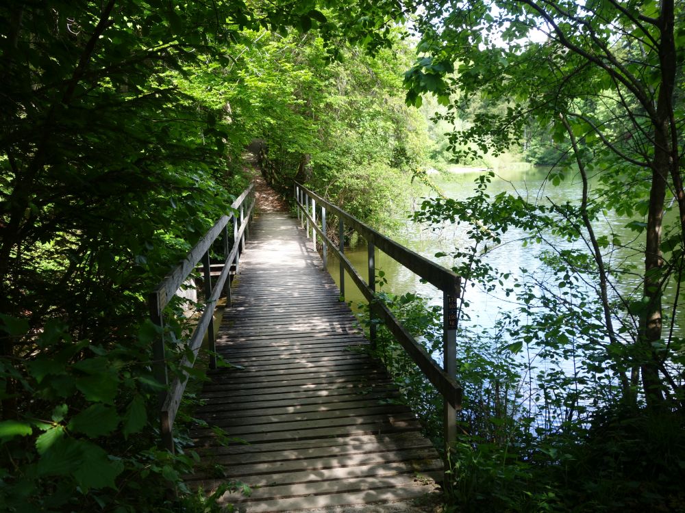 Steg am Tobelweiher
