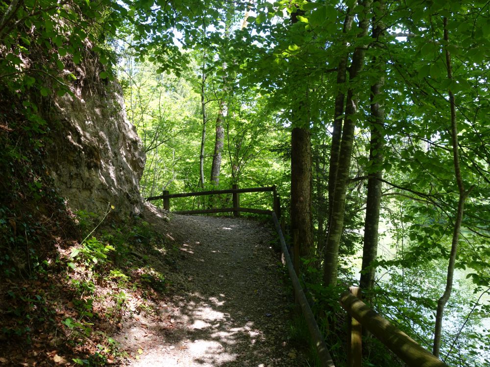 Pfad am Tobelweiher