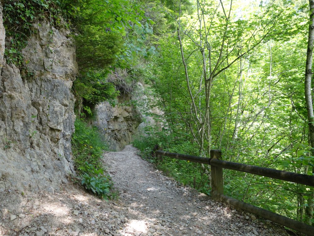 Pfad an der Felswand