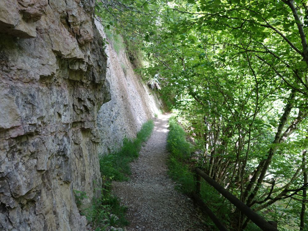 Pfad an der Felswand