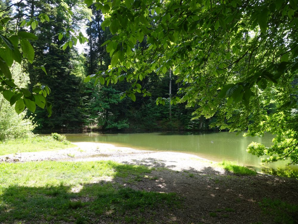 Tobelweiher