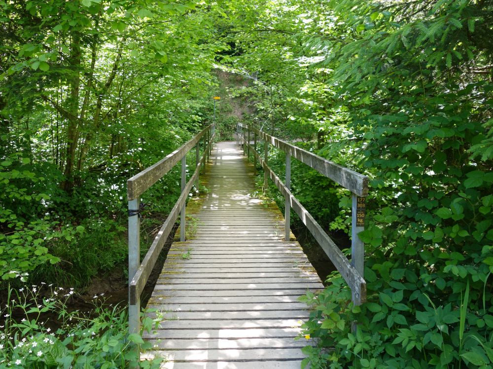 Holzsteg