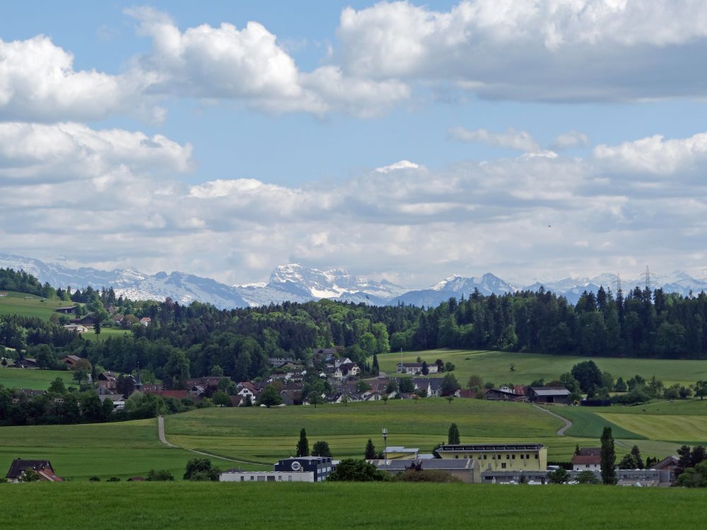 Blick Richtung Glarner Alpen