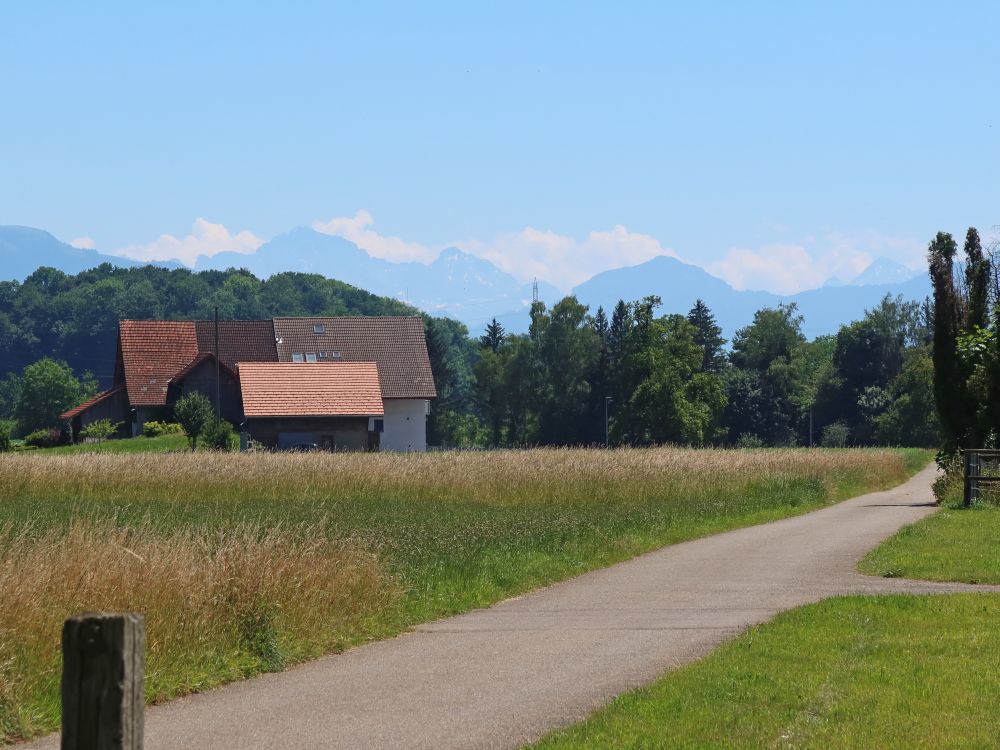 Bauernhof mit Alpensicht