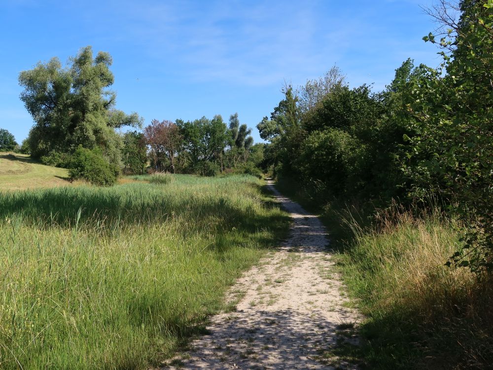 Naturschutzgebiet an der Reuss
