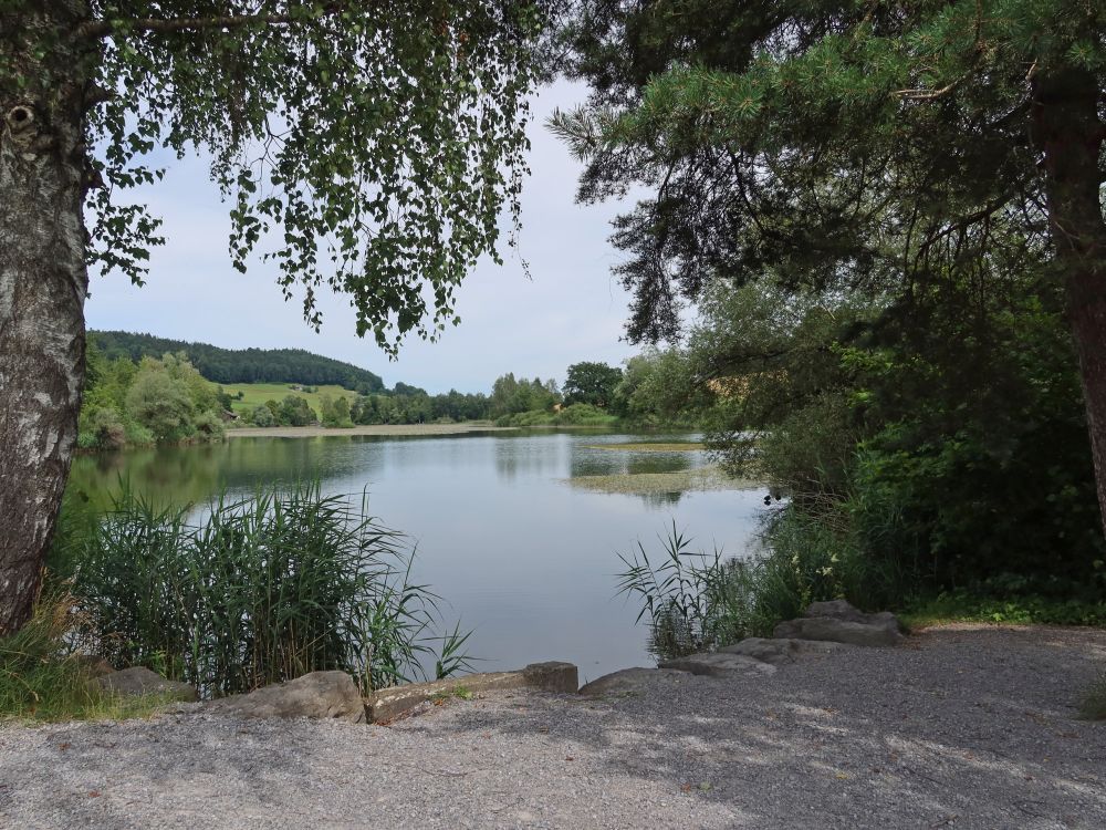 Bettenauer Weiher