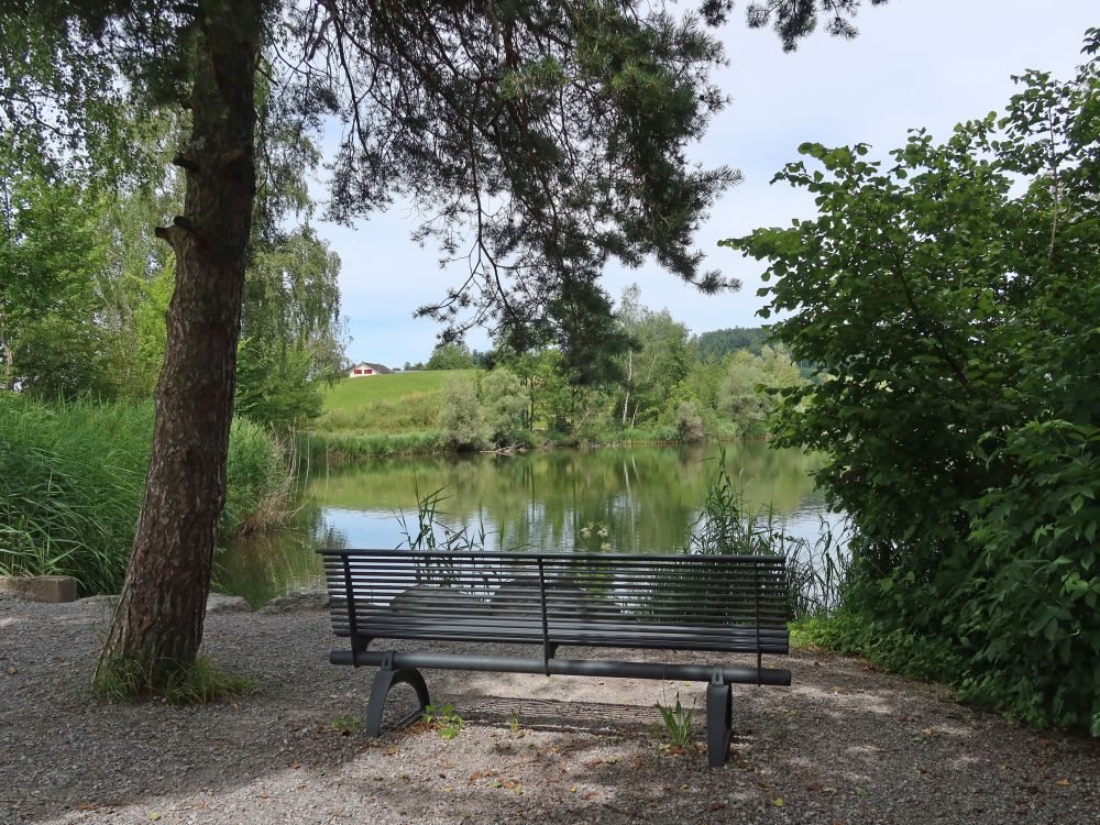 Sitzbank am Bettenauer Weiher