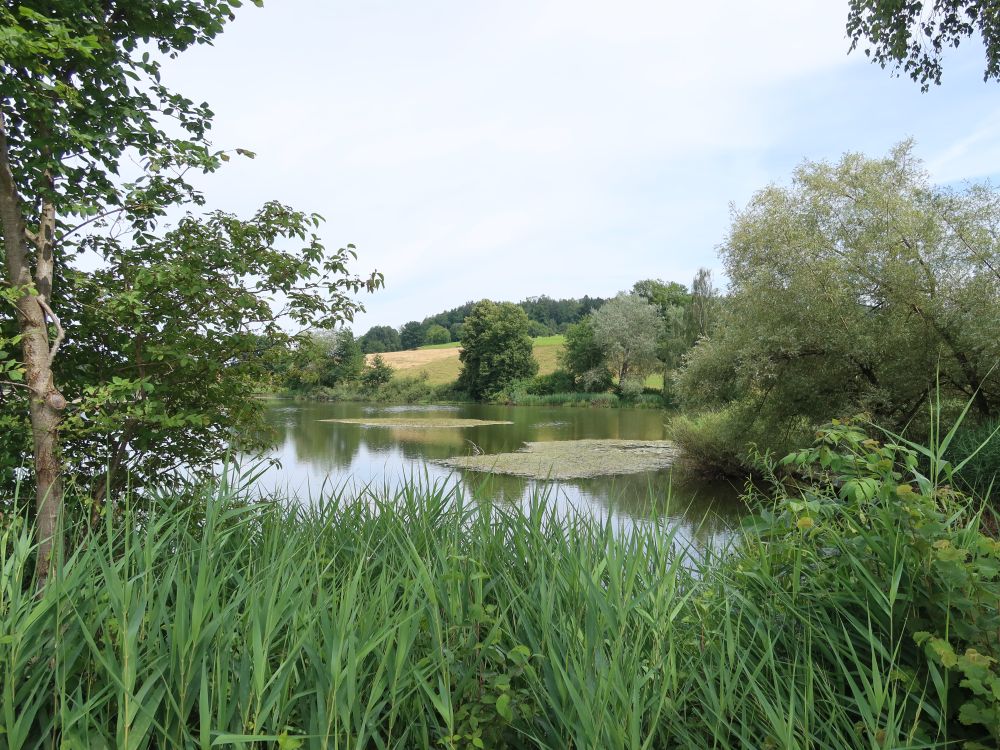 Bettenauer Weiher