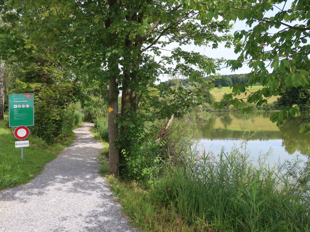 Weg am Bettenauer Weiher