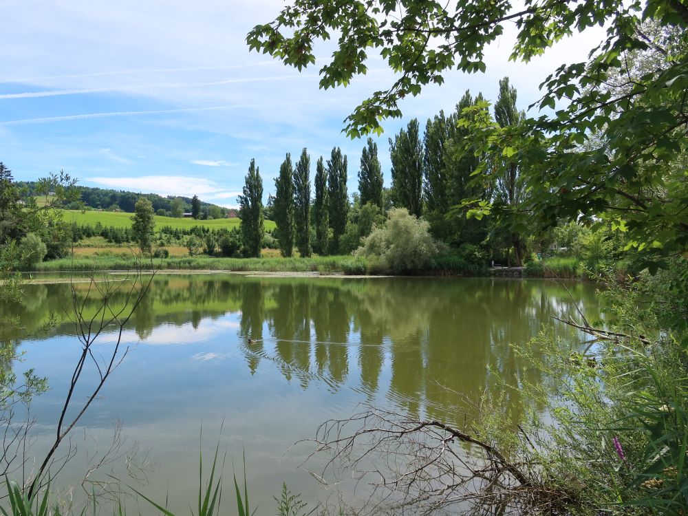 Bettenauer Weiher