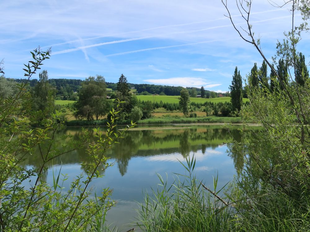 Bettenauer Weiher