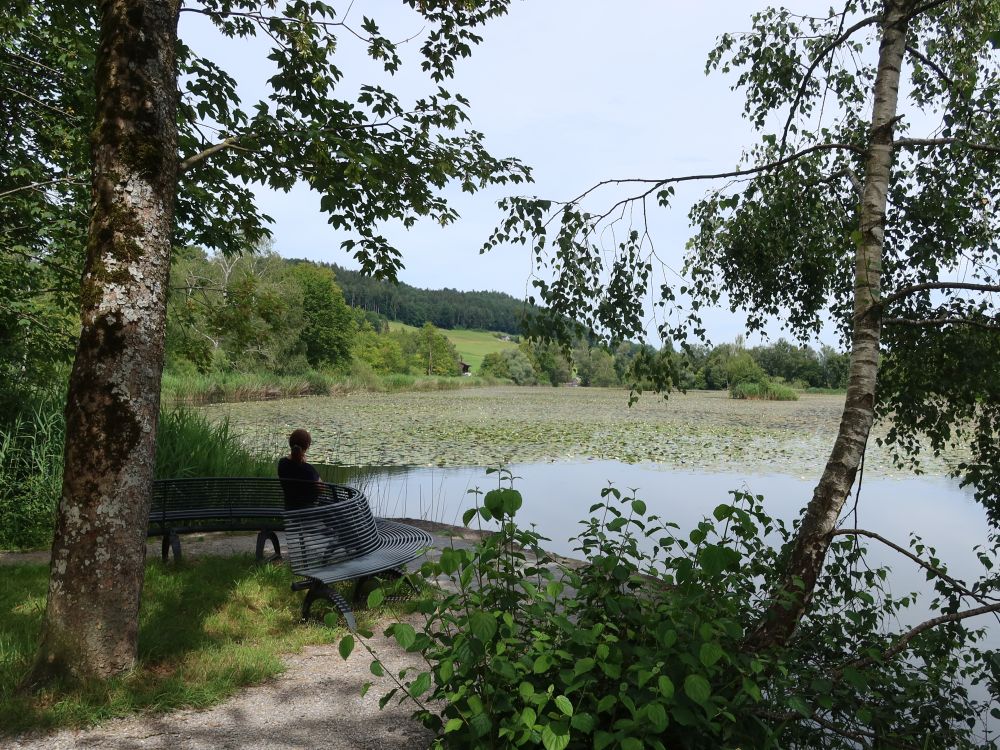 Bettenauer Weiher