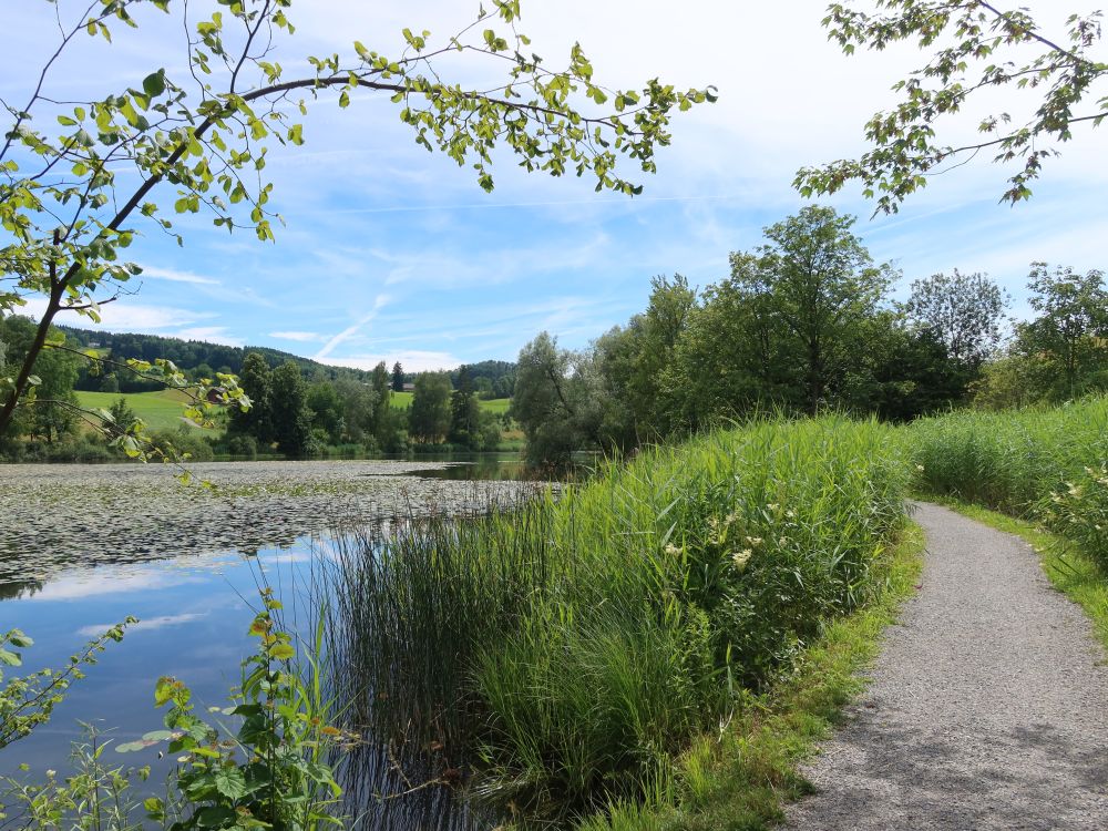 Bettenauer Weiher