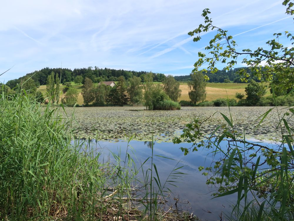 Bettenauer Weiher